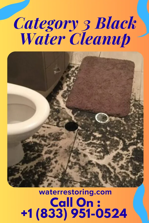 Category 3 Black Water Cleanup in Fergus Falls, MN