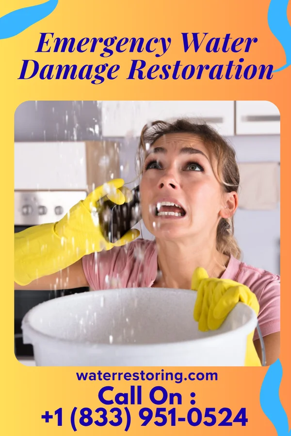 Emergency Water Damage Restoration in Fergus Falls, MN
