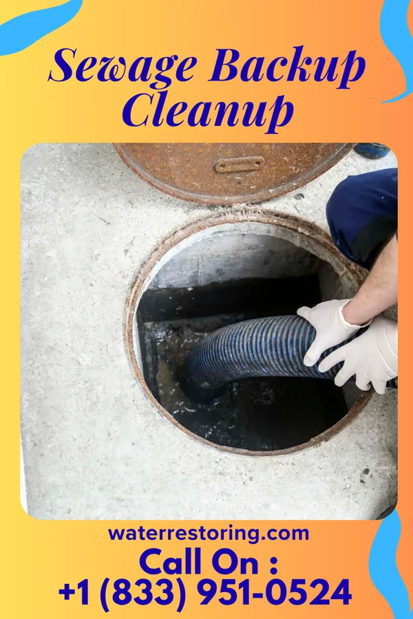Sewage Backup Cleanup in Fergus Falls, MN