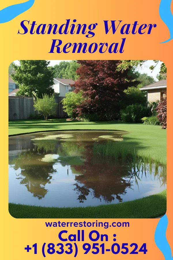 Standing Water Removal in Fergus Falls, MN
